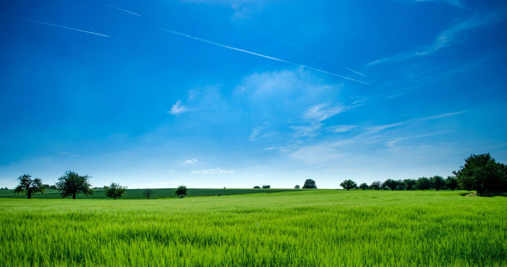 green environment because of renewable energy solutions
